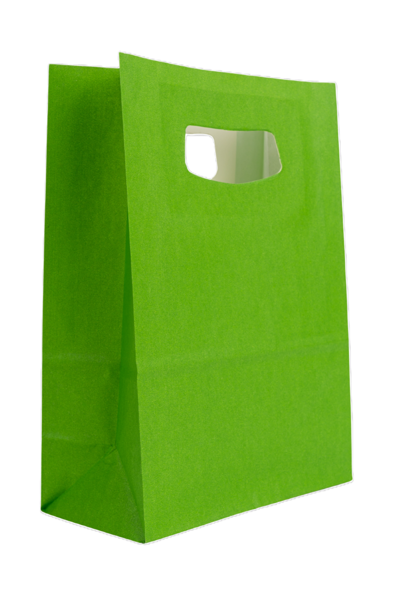 Sacoșă din Hârtie cu Mâner Decupat 18 cm x 9 cm x 25 cm – Ideală pentru Cadouri și Shopping, set 10 bucati